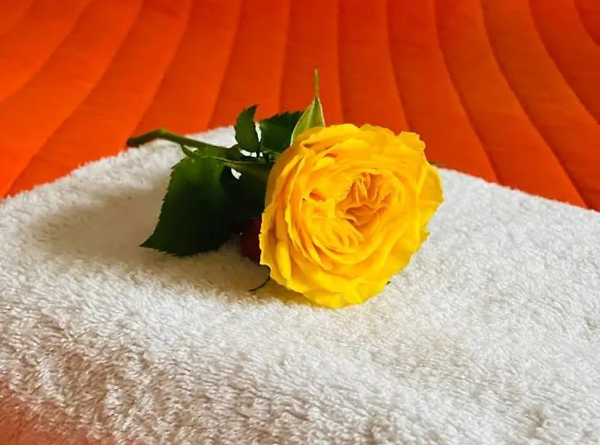 Luxurioses Ferienhaus Im Zentrum Paderborns * Paderborn